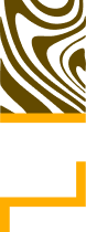Finish Pros logo